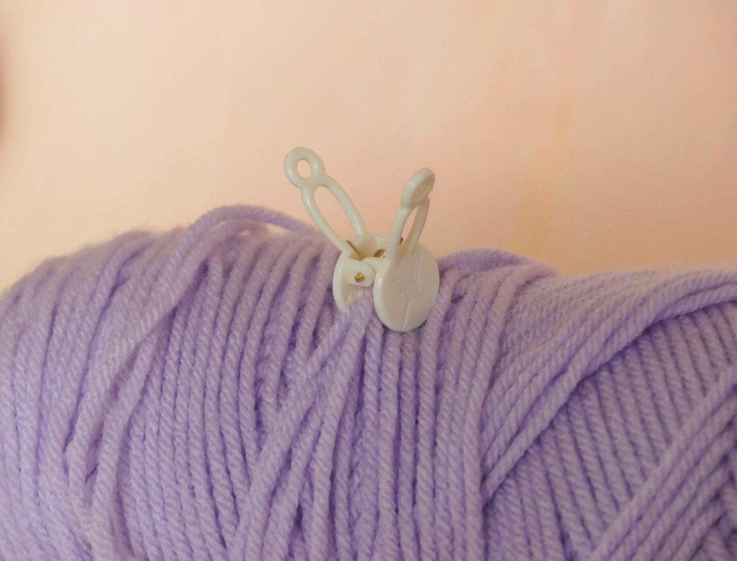 Loop Lock (4)