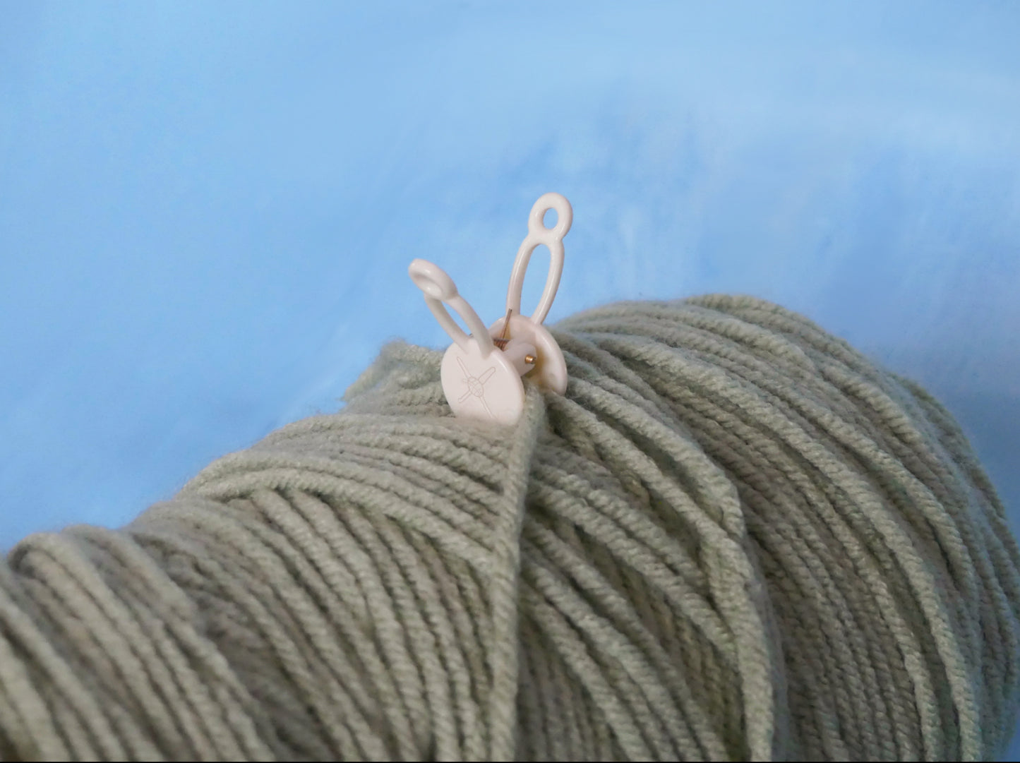 Loop Lock (4)