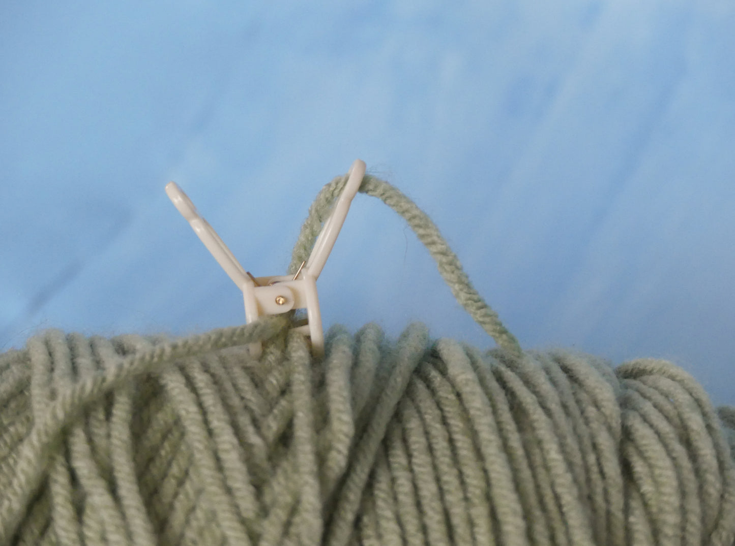 Loop Lock (4)